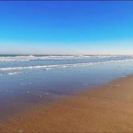 In Near The & Casino *